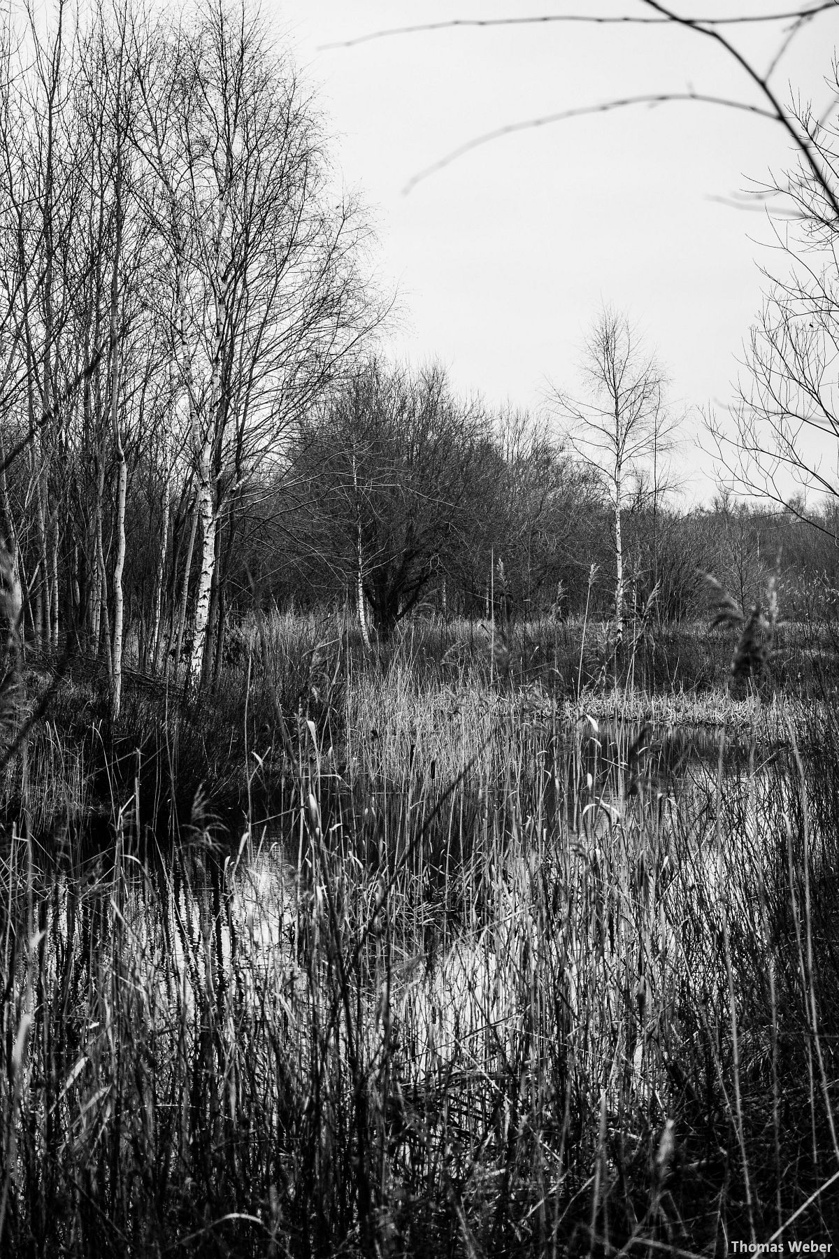 Fotograf Thomas Weber aus Oldenburg: Herbstlandschaft in Oldenburg