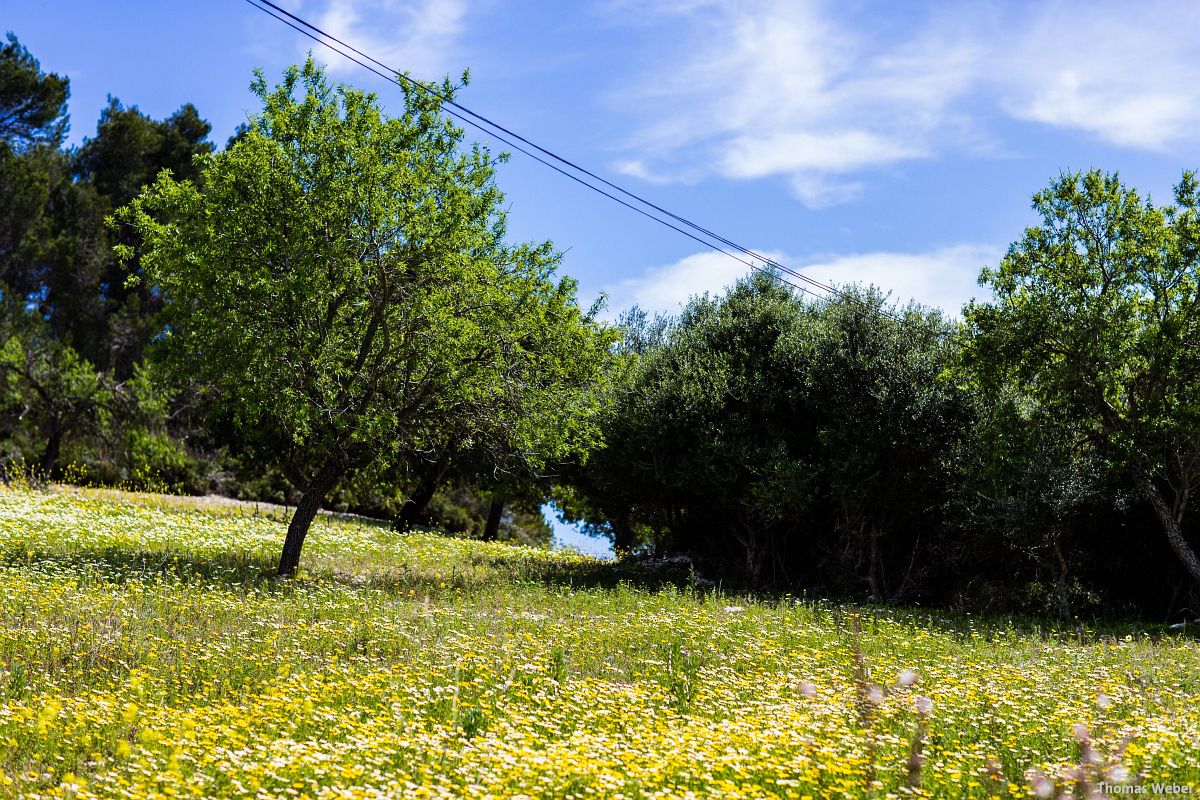 Fotograf Thomas Weber aus Oldenburg: Making Of der Hochzeitsfotos auf Mallorca (30)