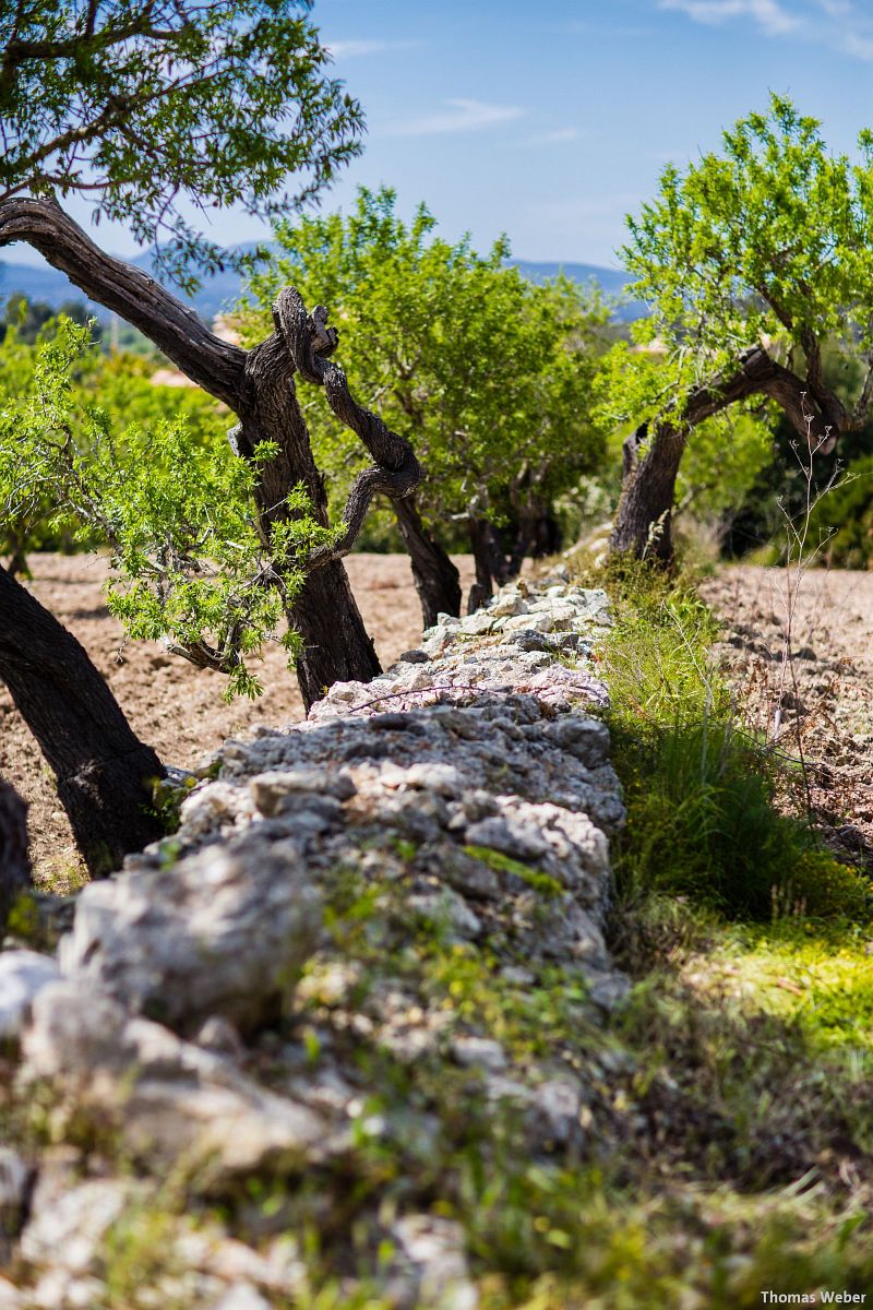 Fotograf Thomas Weber aus Oldenburg: Making Of der Hochzeitsfotos auf Mallorca (36)