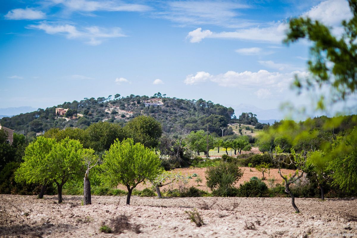 Fotograf Thomas Weber aus Oldenburg: Making Of der Hochzeitsfotos auf Mallorca (37)