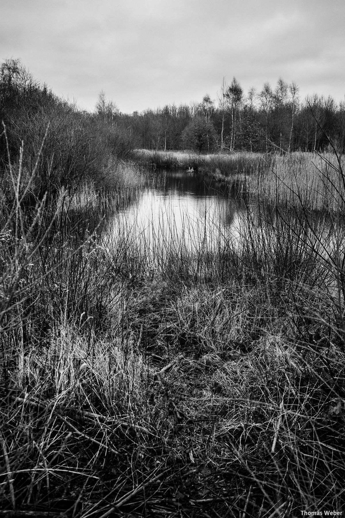 Fotograf Thomas Weber aus Oldenburg: Herbstlandschaft in Oldenburg