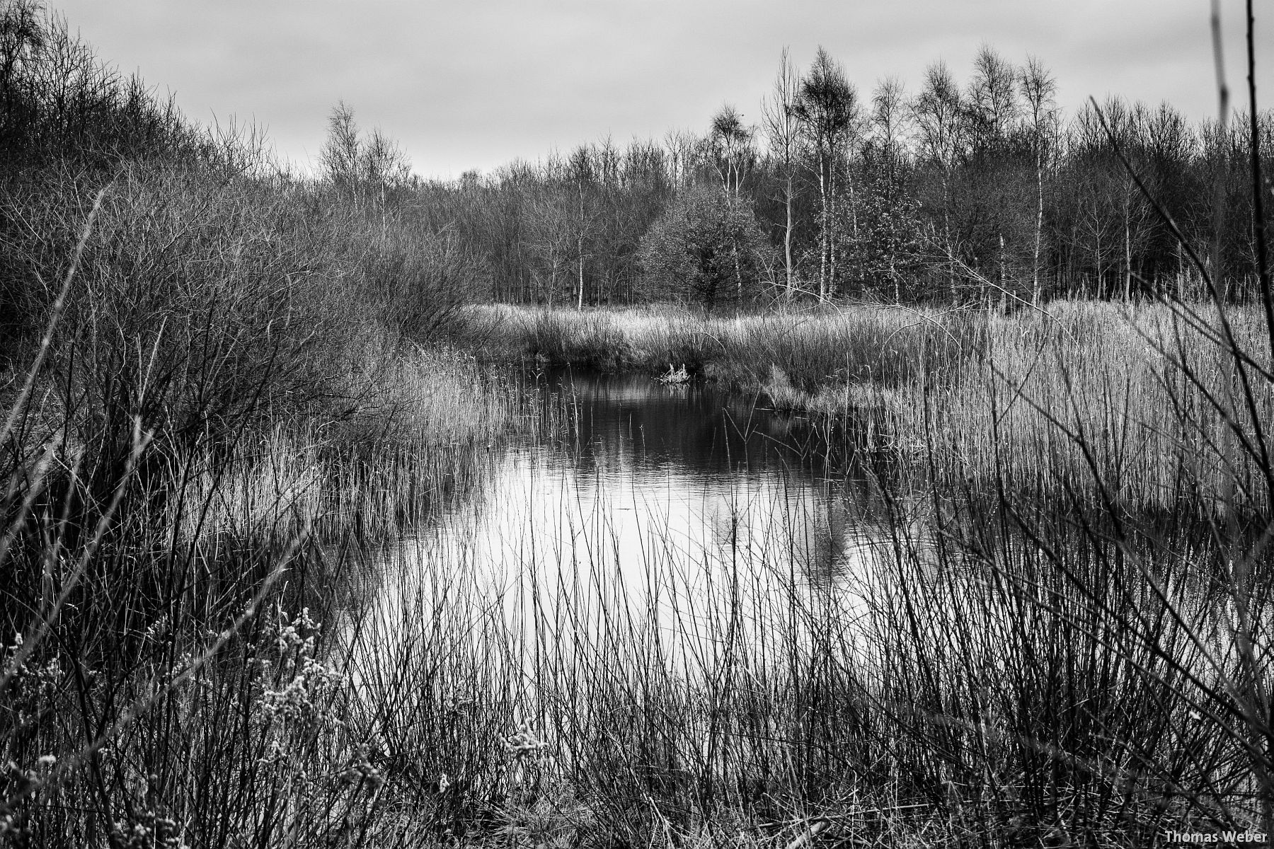 Fotograf Thomas Weber aus Oldenburg: Herbstlandschaft in Oldenburg