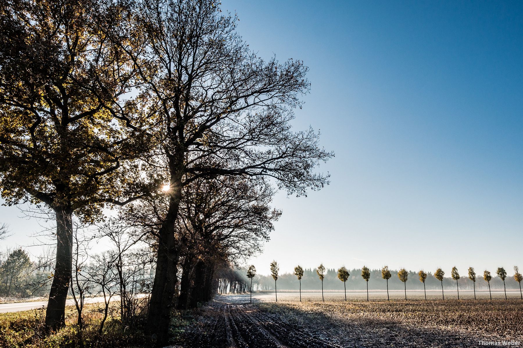 Fotograf Thomas Weber aus Oldenburg: Herbstlandschaft in Wardenburg