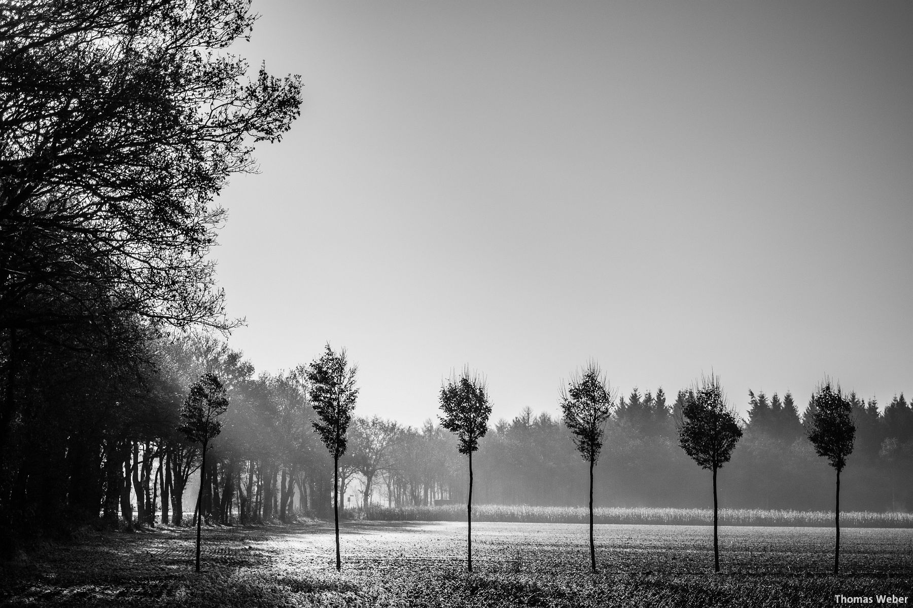 Fotograf Thomas Weber aus Oldenburg: Herbstlandschaft in Wardenburg