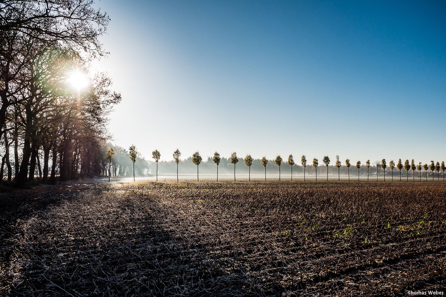 Fotograf Thomas Weber aus Oldenburg: Herbstlandschaft in Wardenburg