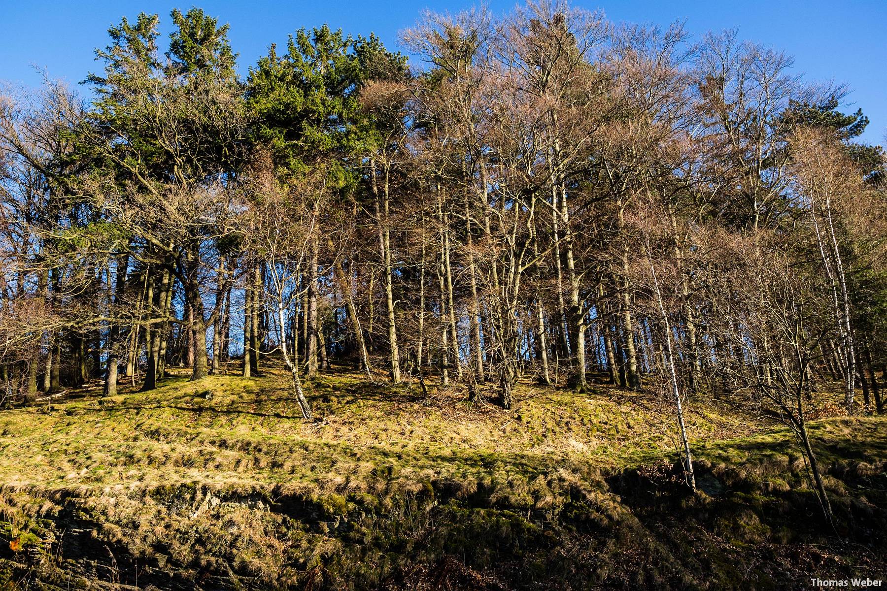 Fotograf Thomas Weber aus Oldenburg: Landschaftsfotos in Goslar im Harz