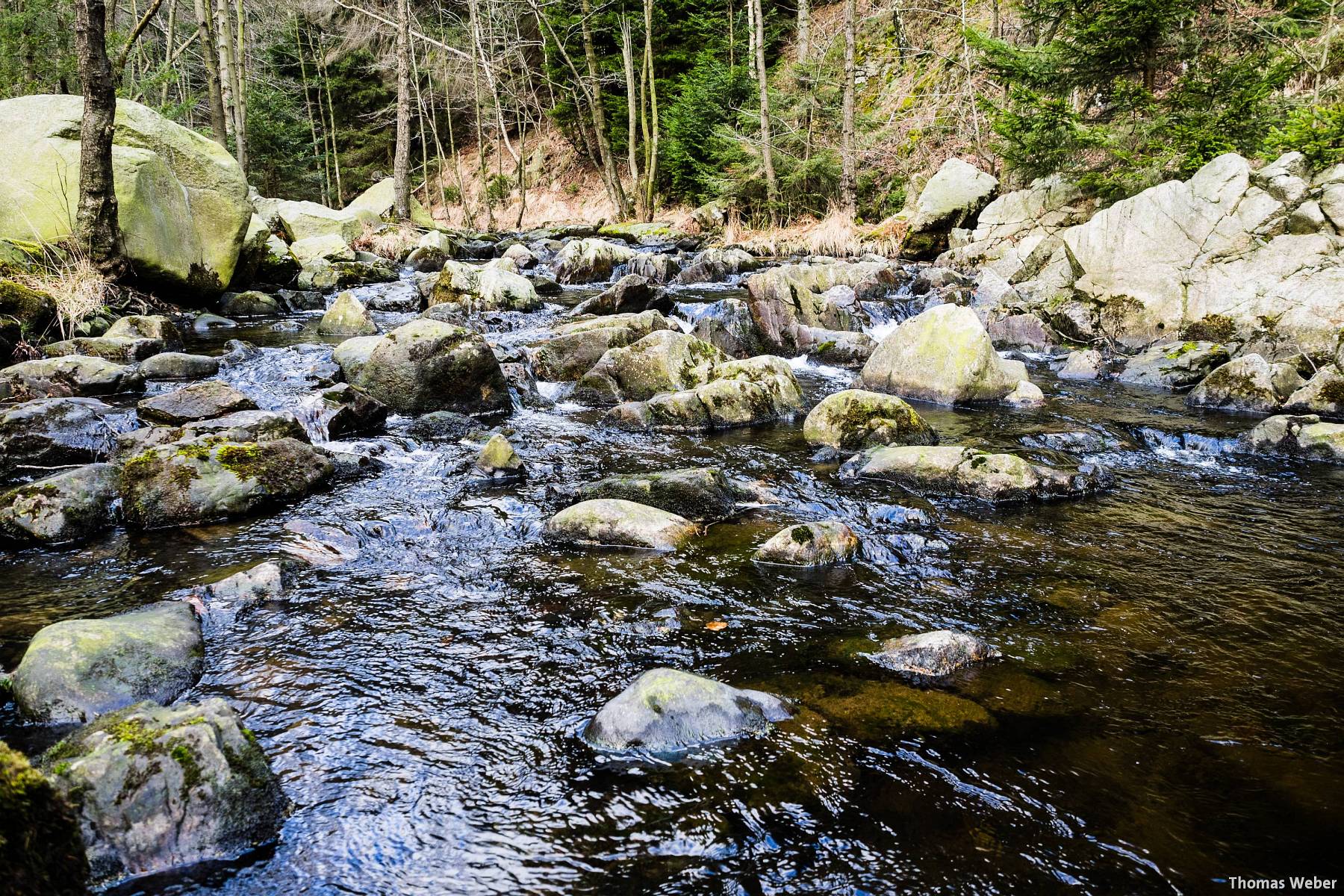 Fotograf Thomas Weber aus Oldenburg: Landschaftsfotos in Goslar im Harz