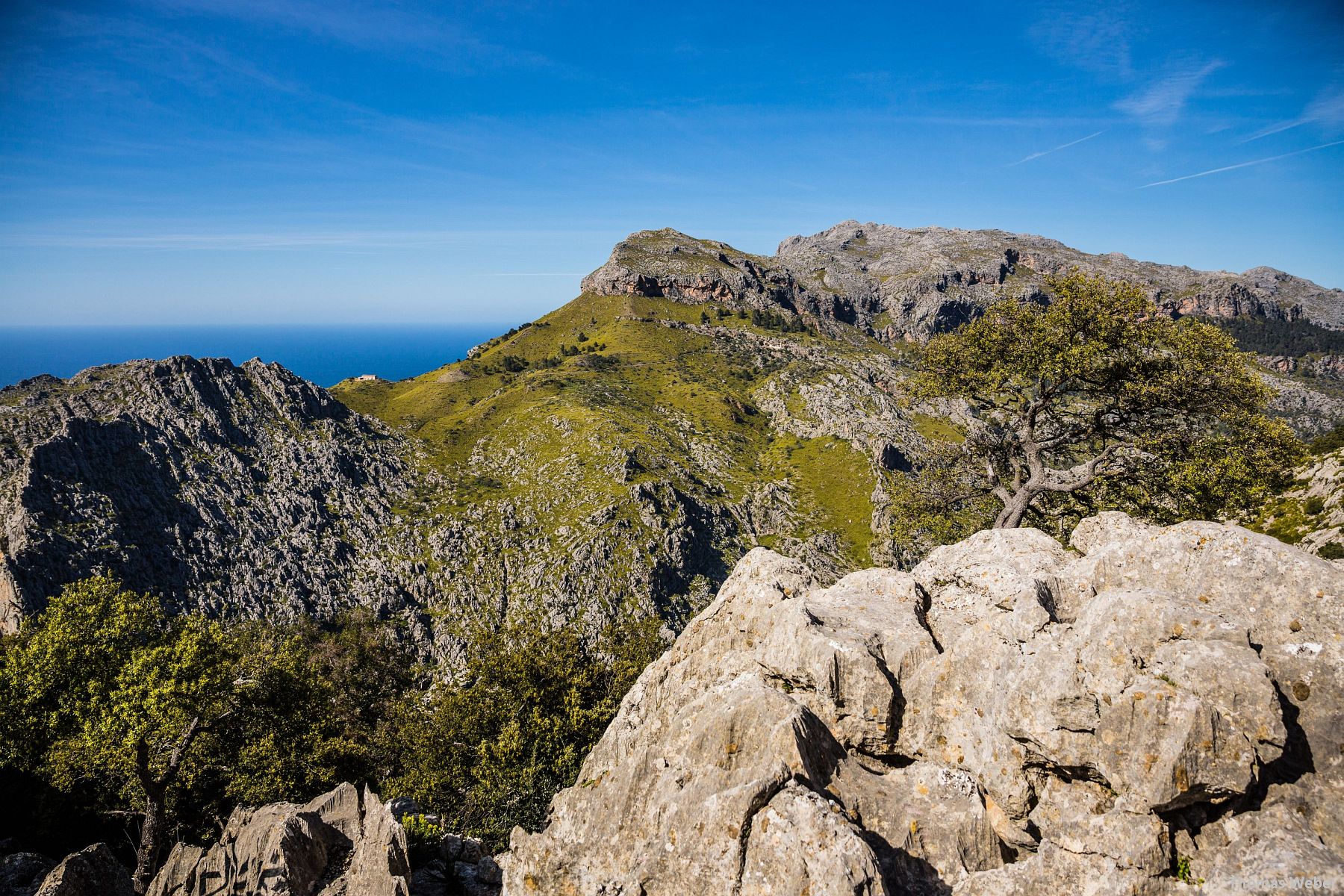 Fotograf Thomas Weber: Hochzeitsfotos und Paarfotos auf Mallorca (88)