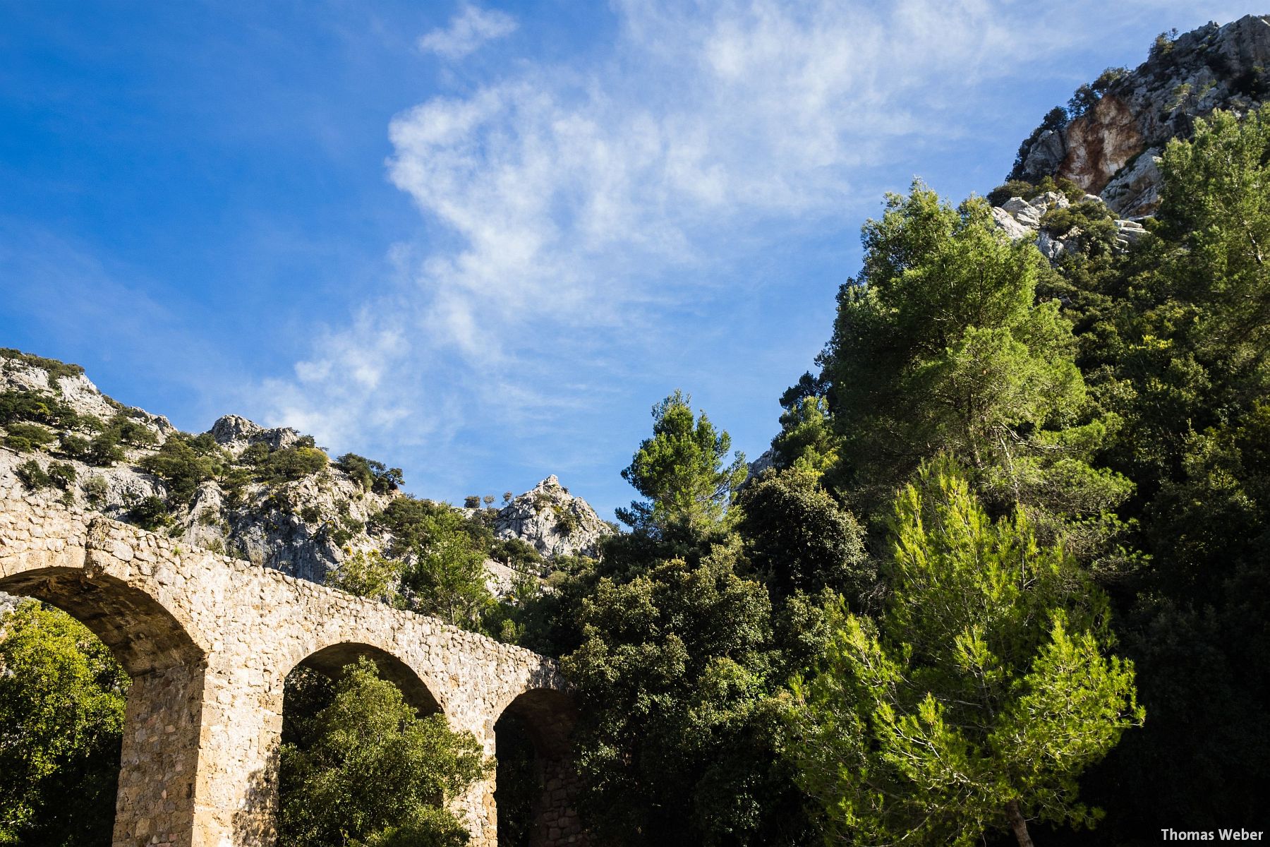 Fotograf Thomas Weber: Hochzeitsfotos und Paarfotos auf Mallorca (92)