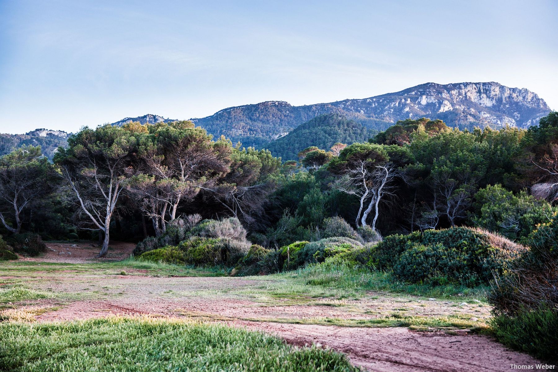 Fotograf Thomas Weber: Hochzeitsfotos und Paarfotos auf Mallorca (93)