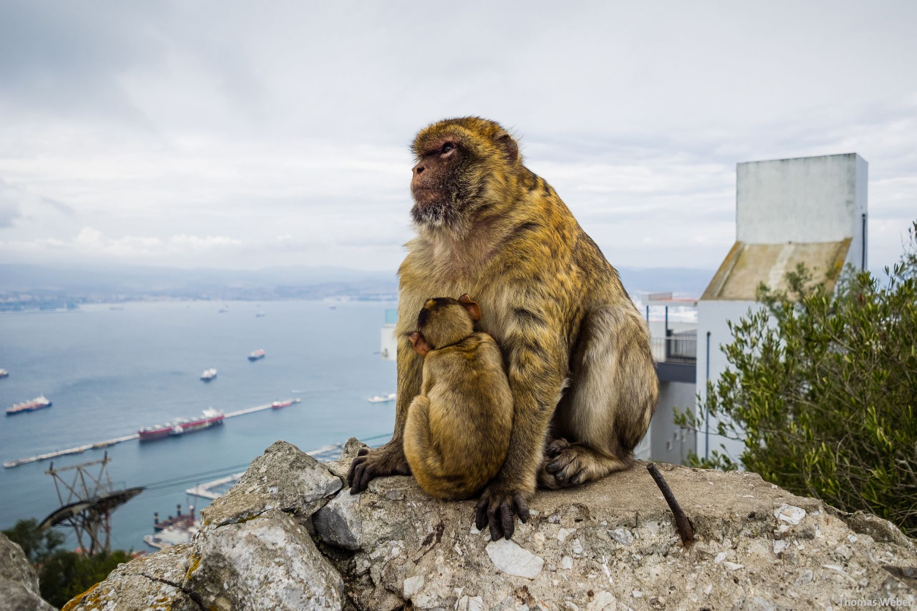 Fotograf Thomas Weber aus Oldenburg: Einige Fotos aus Andalusien (Spanien)