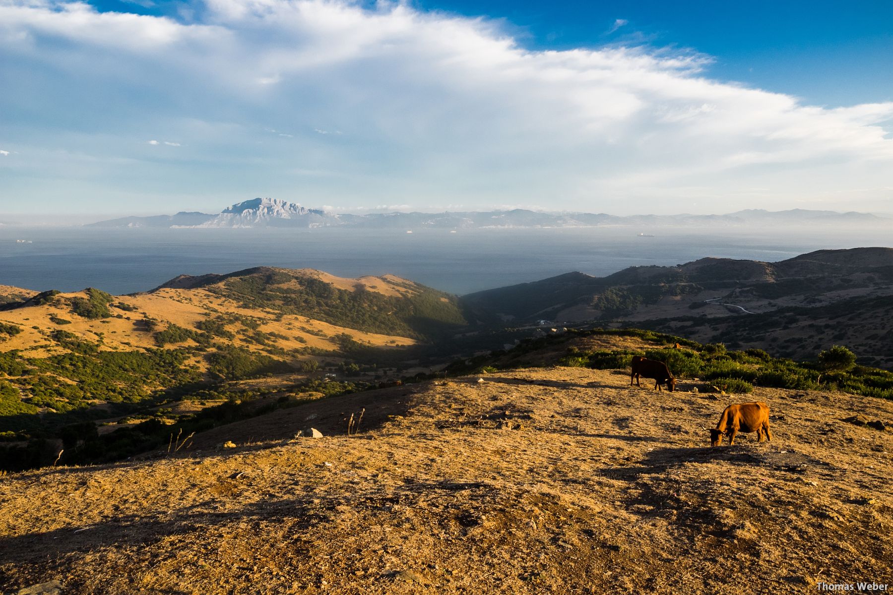 Fotograf Thomas Weber aus Oldenburg: Einige Fotos aus Andalusien (Spanien)