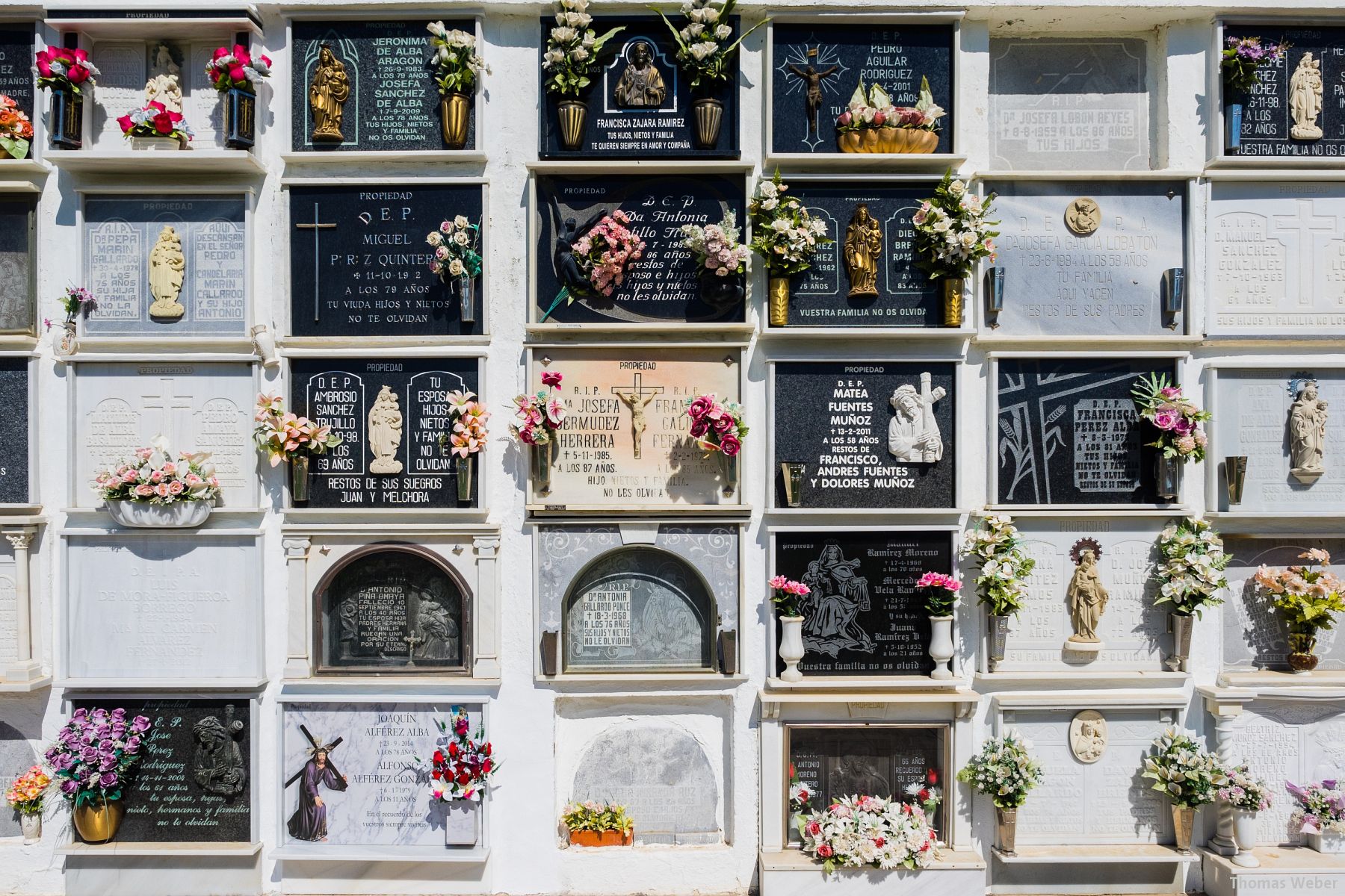 Fotograf Thomas Weber aus Oldenburg: Einige Fotos aus Andalusien (Spanien)