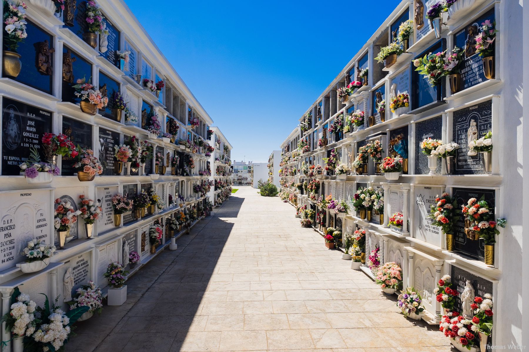 Fotograf Thomas Weber aus Oldenburg: Einige Fotos aus Andalusien (Spanien)