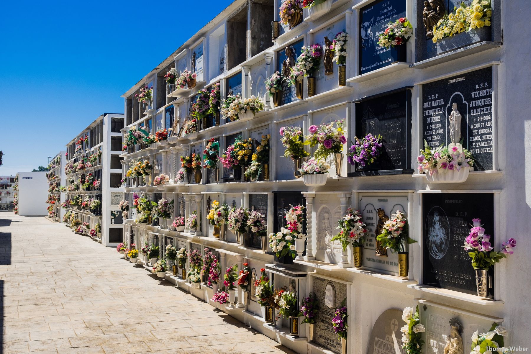 Fotograf Thomas Weber aus Oldenburg: Einige Fotos aus Andalusien (Spanien)