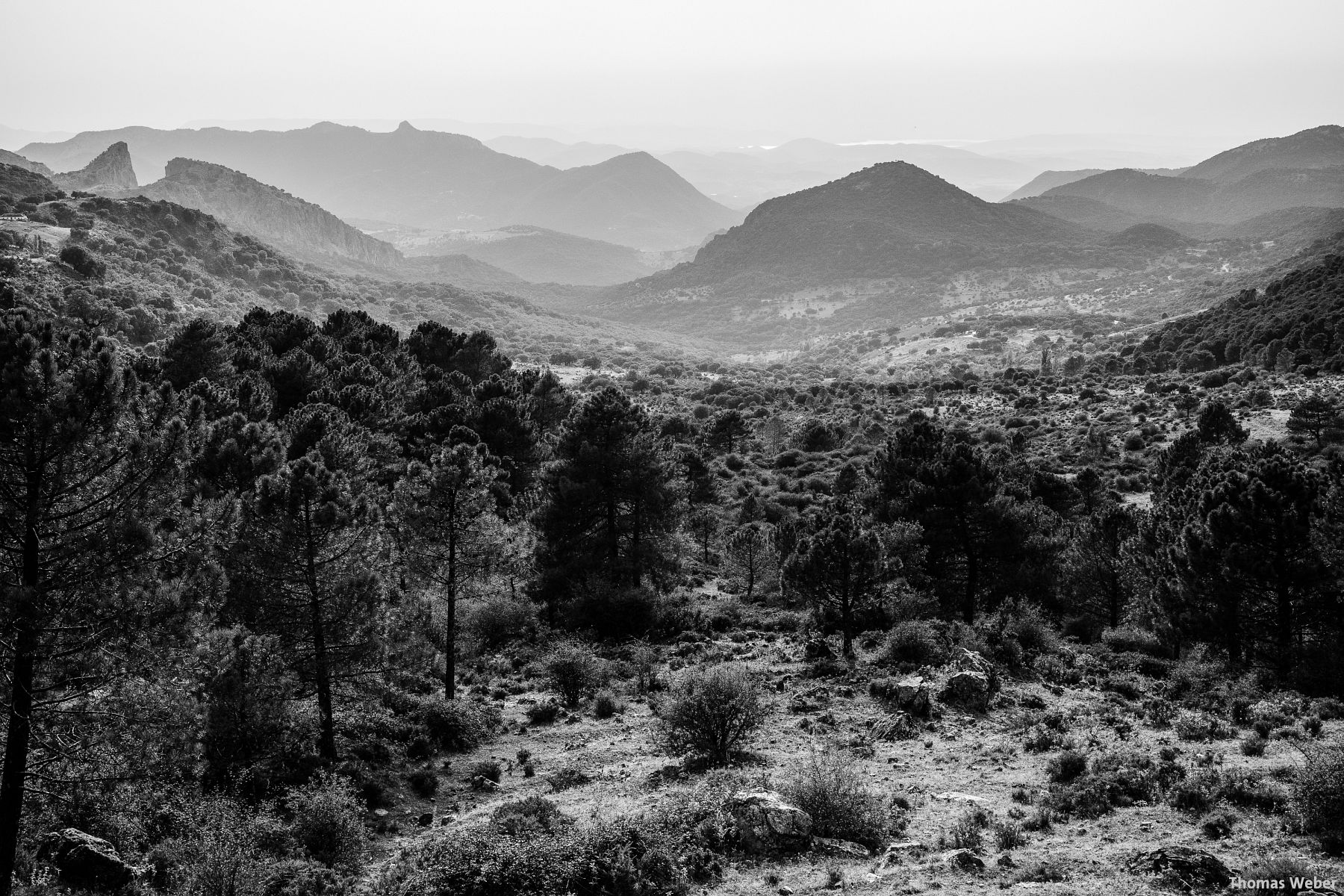 Fotograf Thomas Weber aus Oldenburg: Einige Fotos aus Andalusien (Spanien)