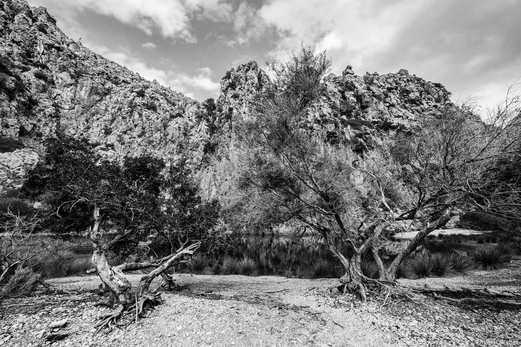 Fotograf Thomas Weber aus Oldenburg: Diverse Touren mit 125er Rollern im Frühjahr über Mallorca