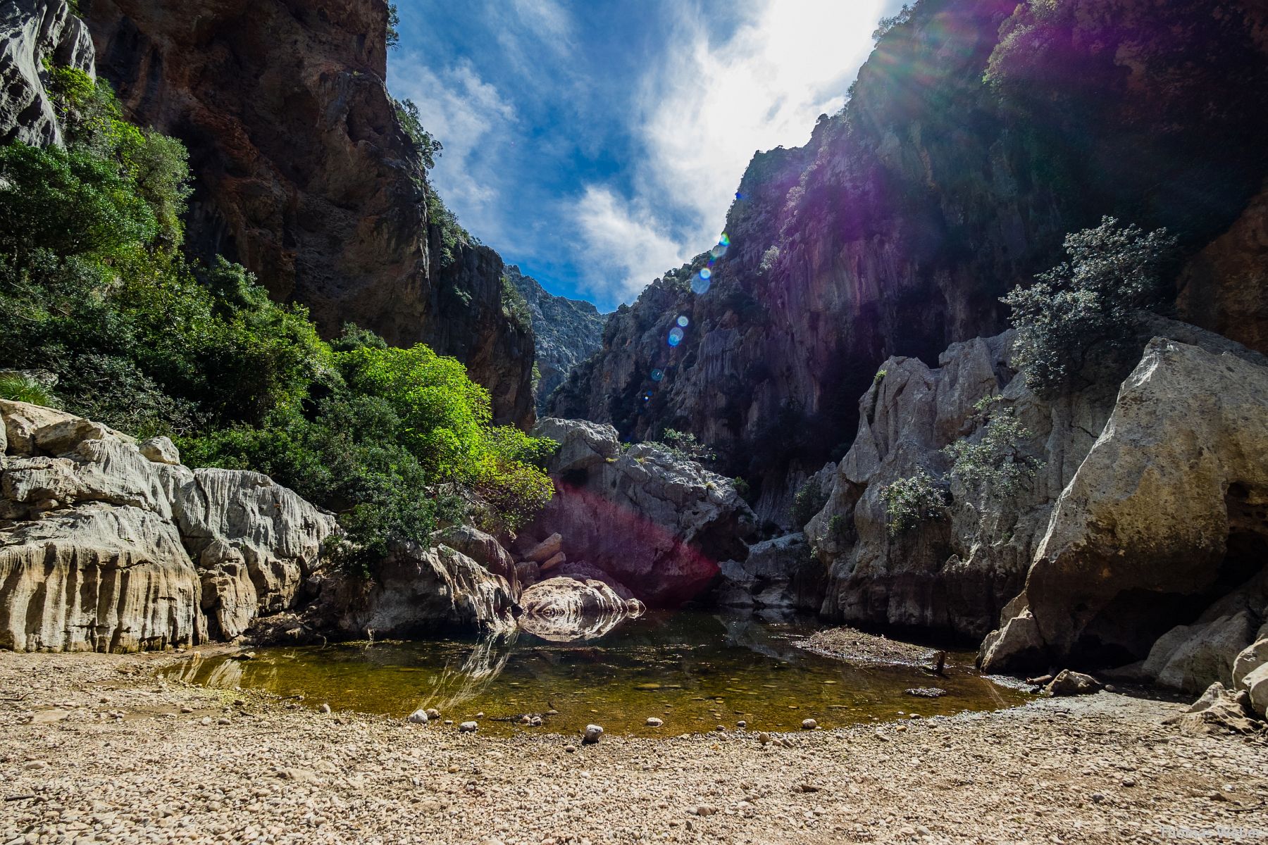 Fotograf Thomas Weber aus Oldenburg: Diverse Touren mit 125er Rollern im Frühjahr über Mallorca