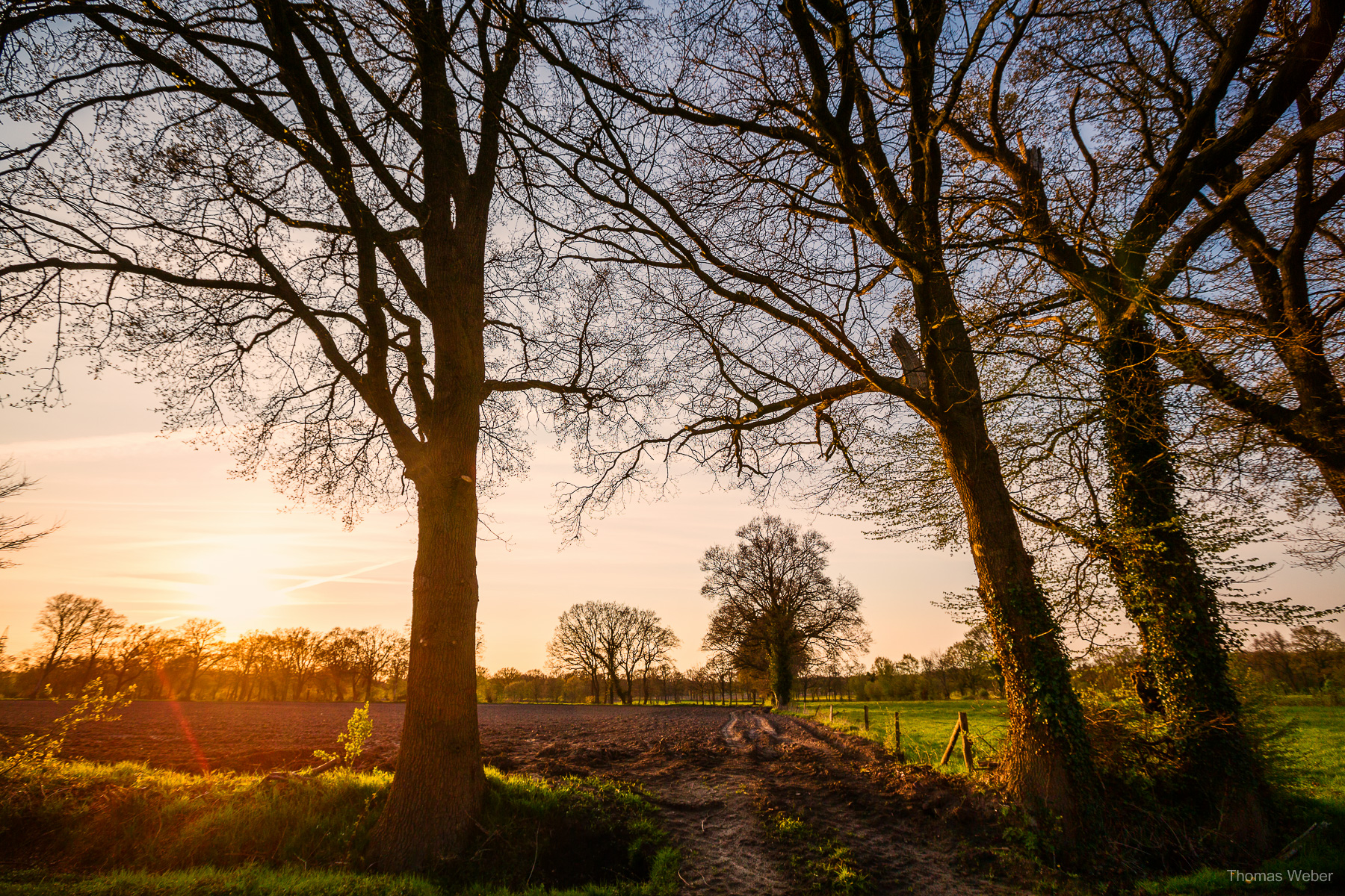 Naturfotos und Landschaftsfotos in Oldenburg Bornhorst