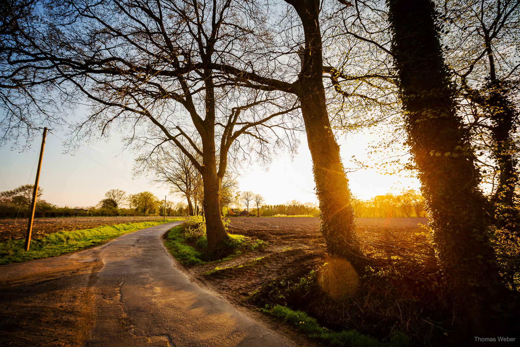 Naturfotos und Landschaftsfotos in Oldenburg Bornhorst