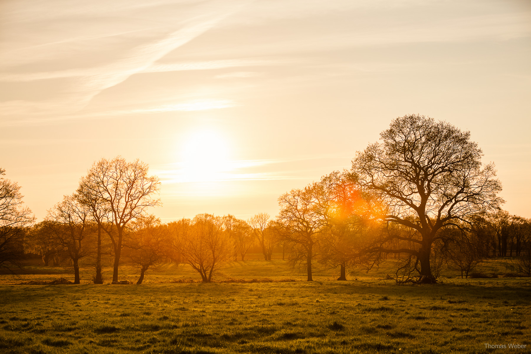 Naturfotos und Landschaftsfotos in Oldenburg Bornhorst