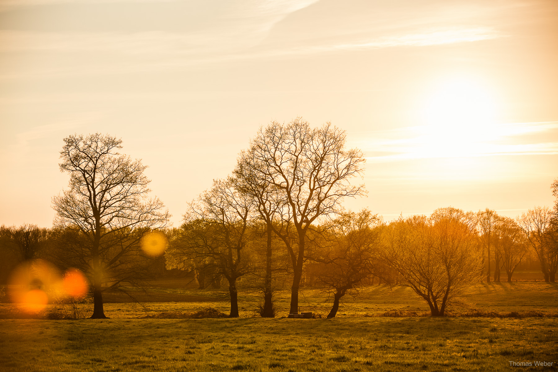 Naturfotos und Landschaftsfotos in Oldenburg Bornhorst