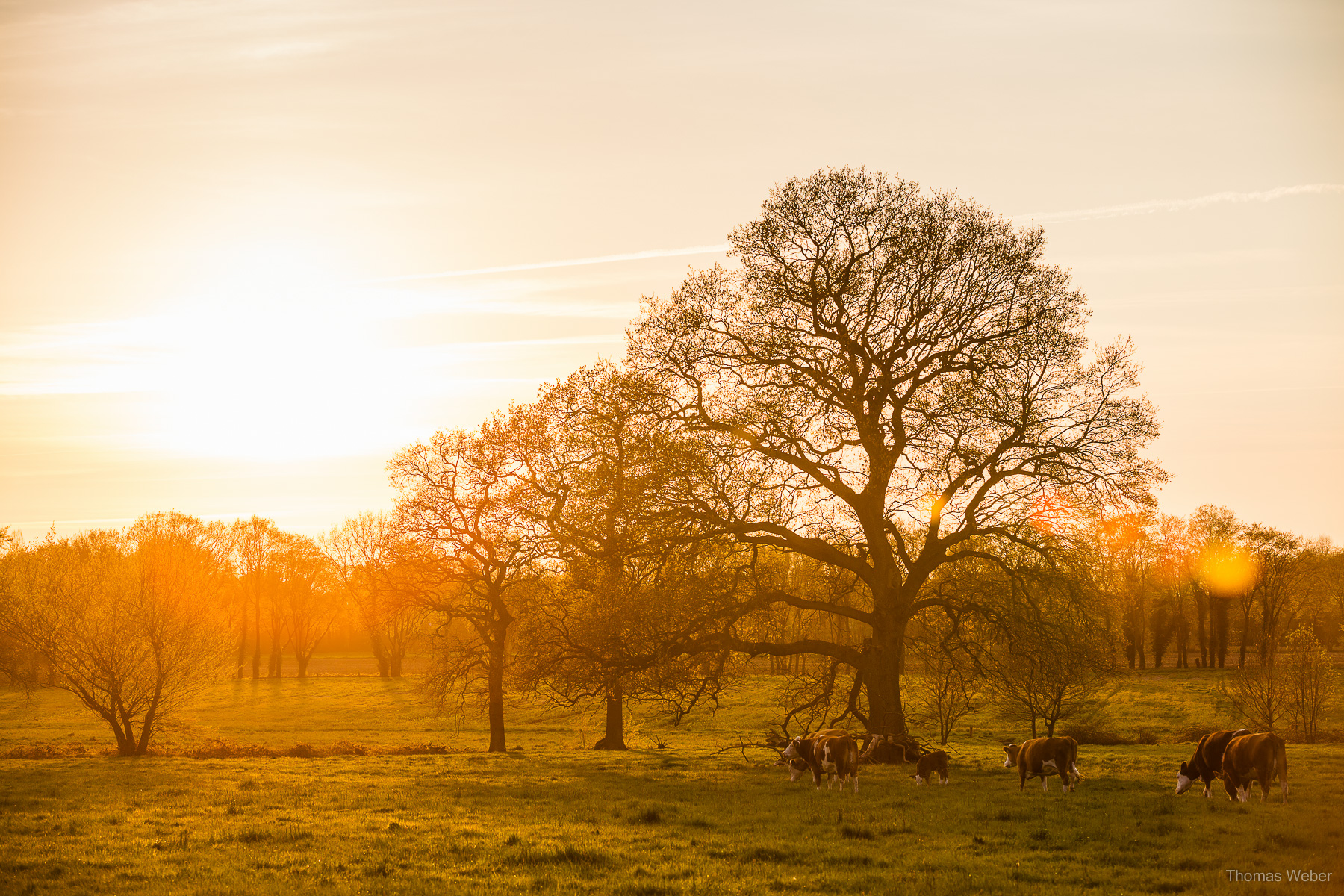 Naturfotos und Landschaftsfotos in Oldenburg Bornhorst