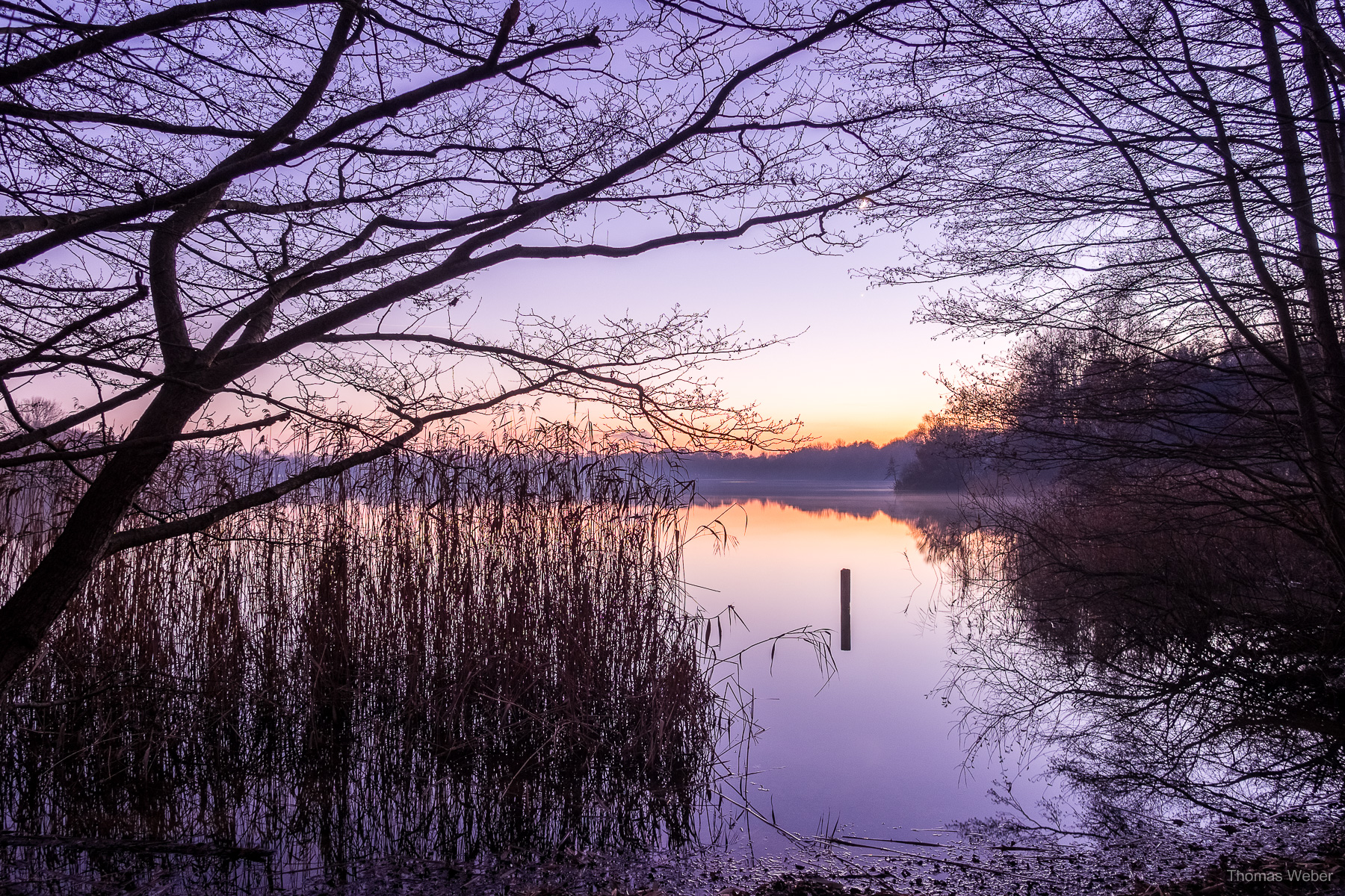 Fotograf Oldenburg, Thomas Weber: Landschaftsfotos und Naturfotos im Winter am See und im Moor