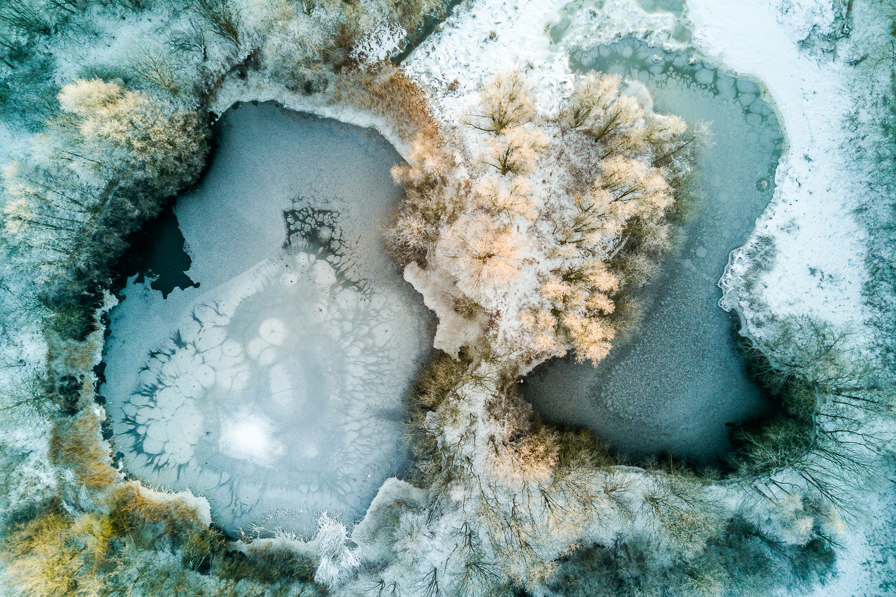 Fotograf Oldenburg, Thomas Weber: Landschaftsfotos und Naturfotos im Winter am See und im Moor