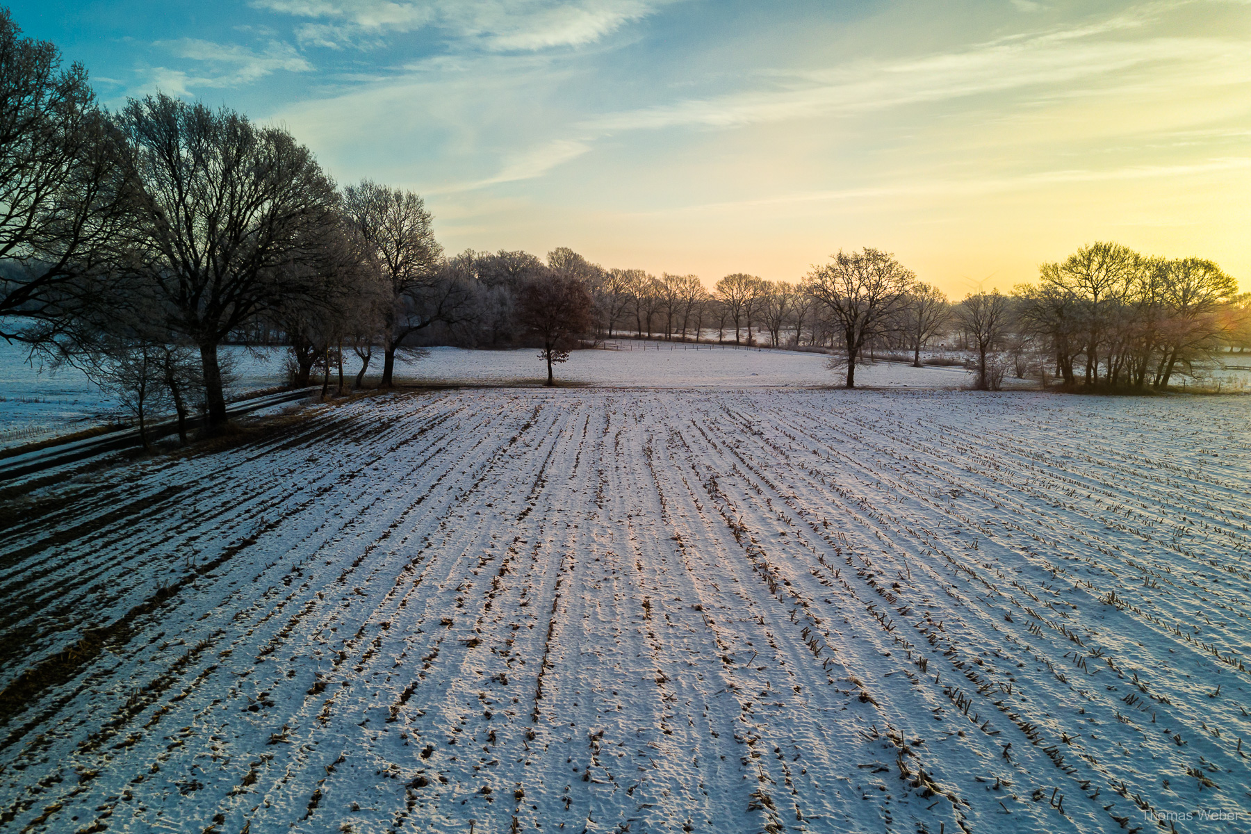 Fotograf Oldenburg, Thomas Weber: Landschaftsfotos und Naturfotos im Winter am See und im Moor