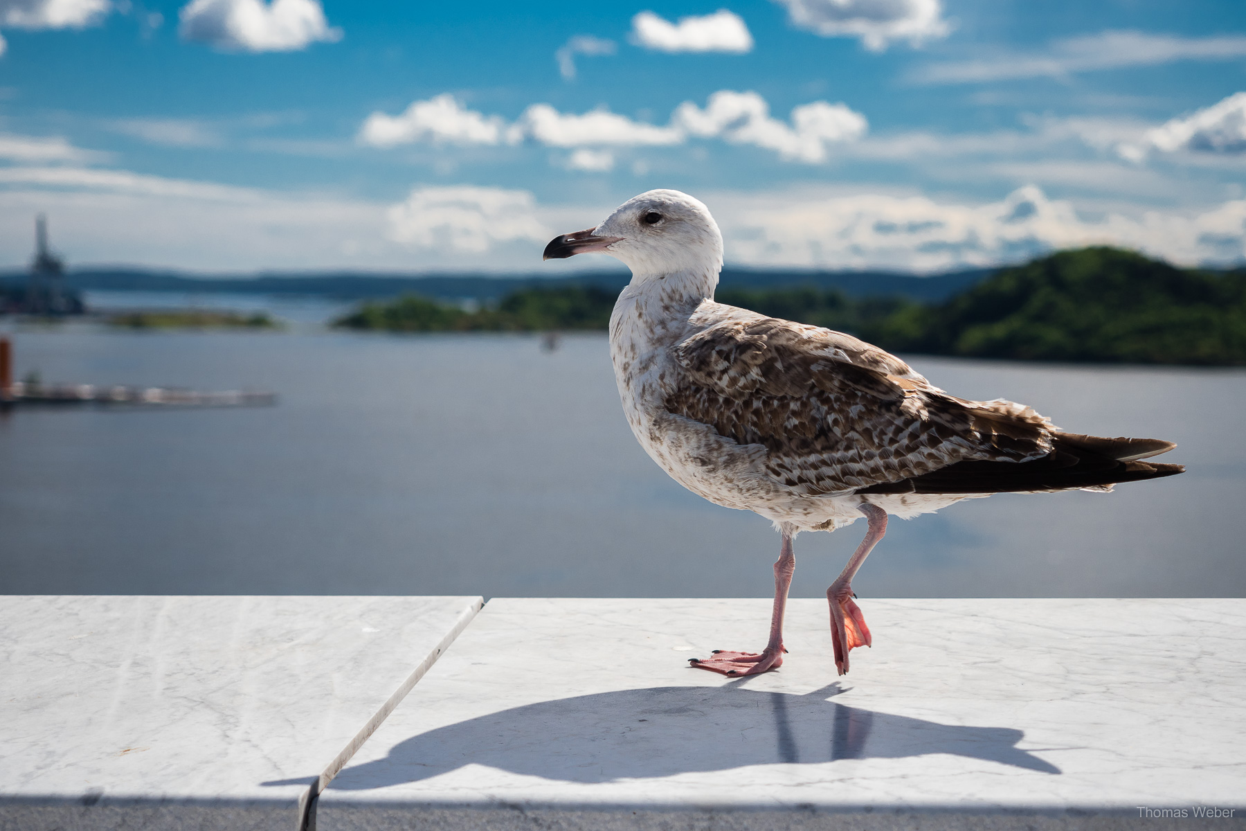 Fotograf Thomas Weber aus Oldenburg: Rundreise durch Norwegen