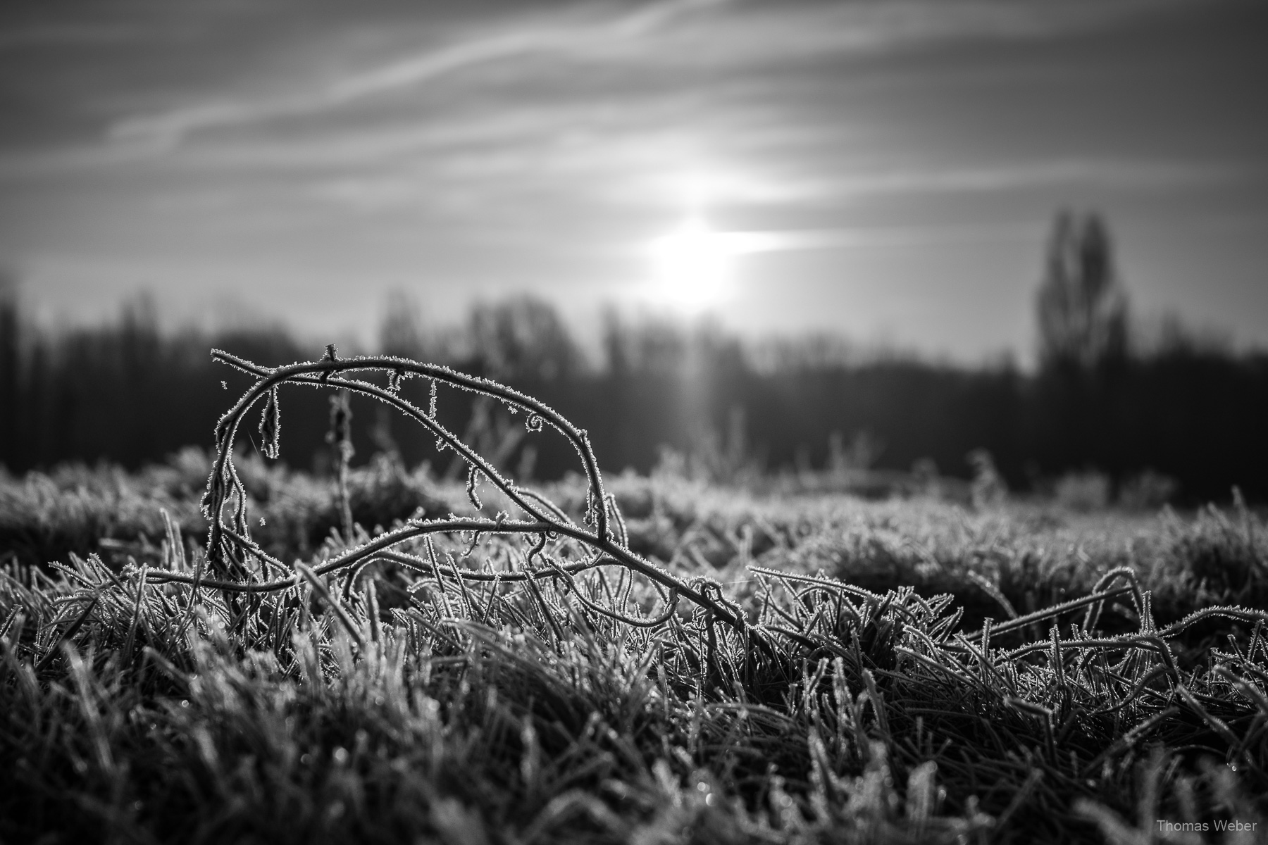 Sonnenaufgang auf dem Utkiek in Oldenburg, Fotograf Thomas Weber aus Oldenburg