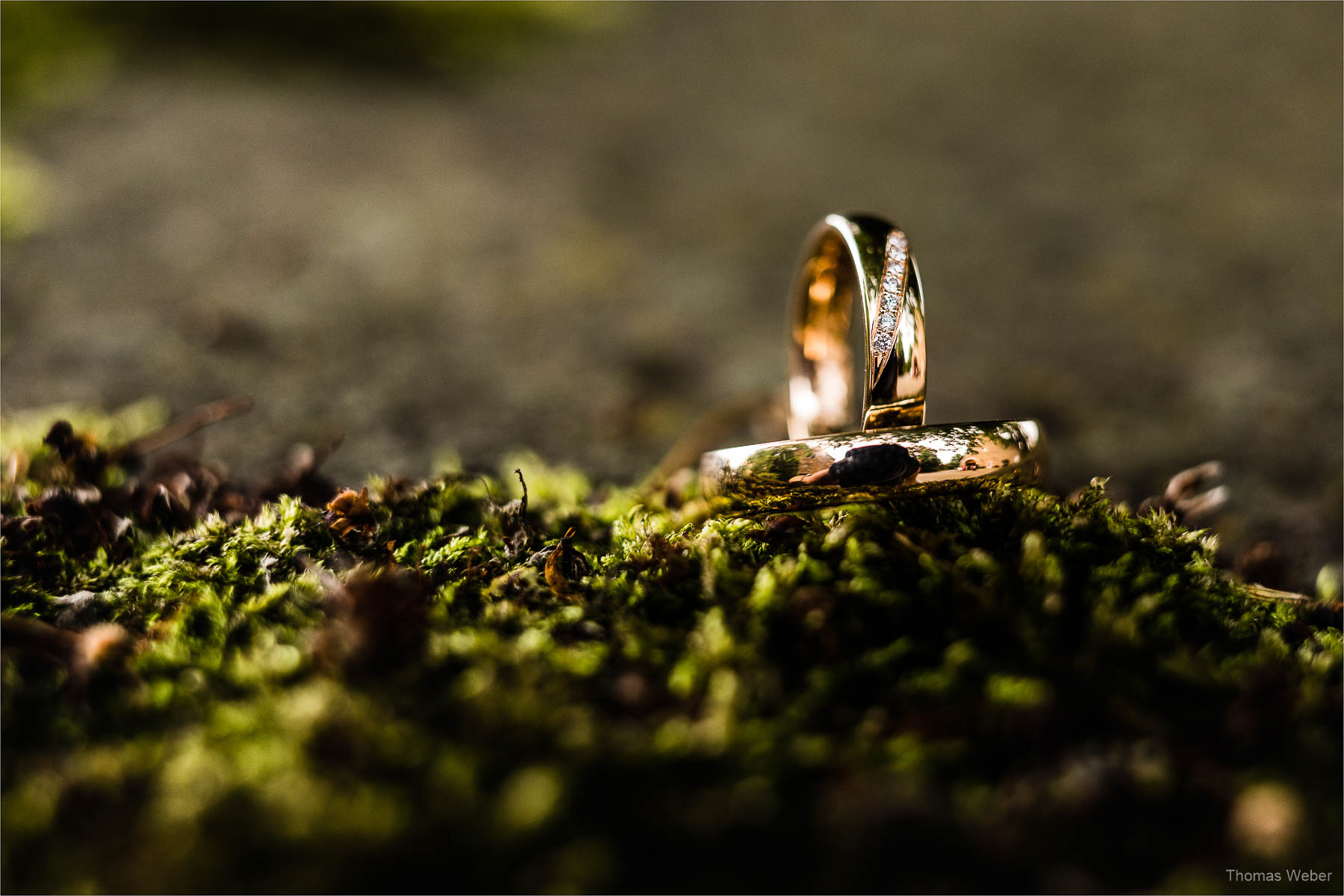 Hochzeit im Schlosshotel Münchhausen in Aerzen, Fotograf Thomas Weber aus Oldenburg