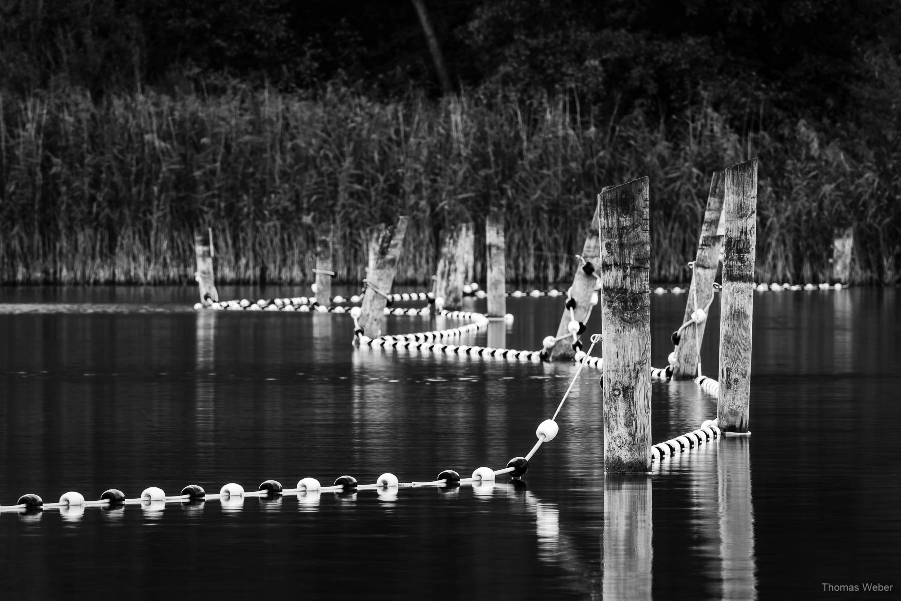 Landschaftsfotos am kleinen Bornhorster See in Oldenburg, Fotograf Thomas Weber aus Oldenburg