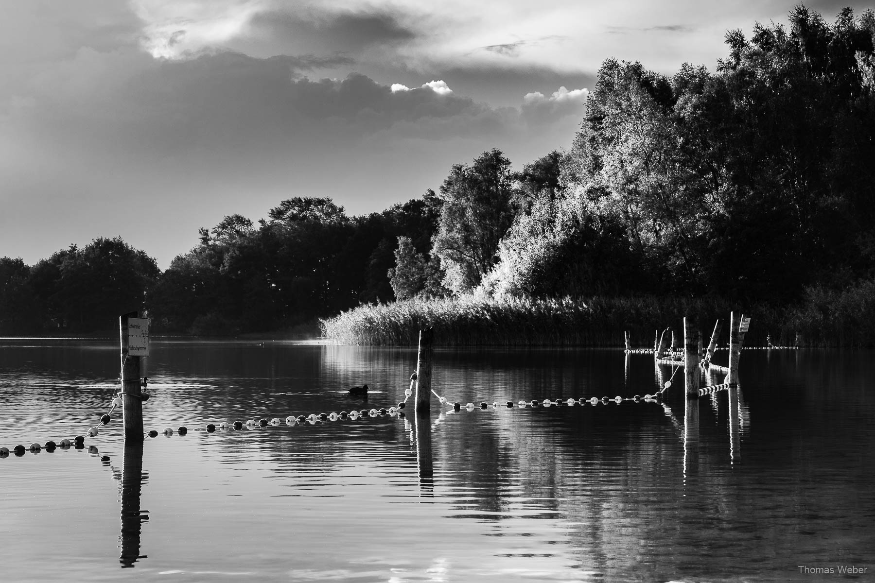 Landschaftsfotos am kleinen Bornhorster See in Oldenburg, Fotograf Thomas Weber aus Oldenburg