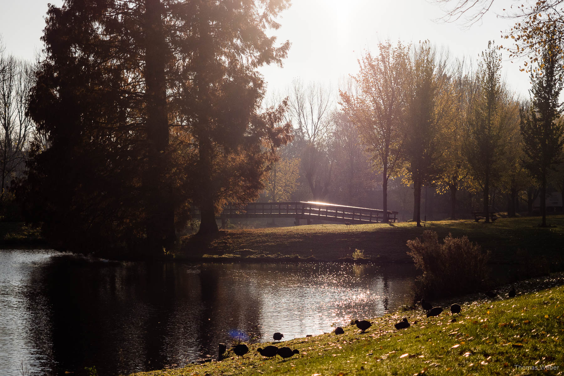 Der Stadspark in Groningen bei einer Fahrradtour durch Groningen, Fotograf Oldenburg, Thomas Weber