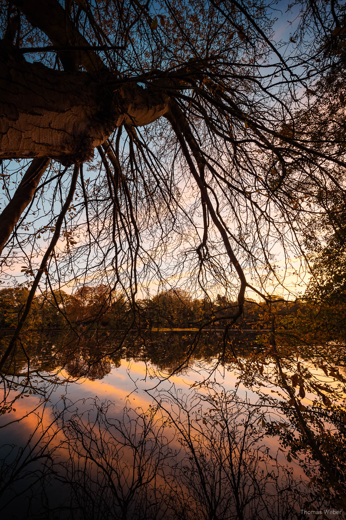 Landschaftsfotos an den Dobbenwiesen in Oldenburg und am Kaiserteich Oldenburg, Fotograf Thomas Weber aus Oldenburg