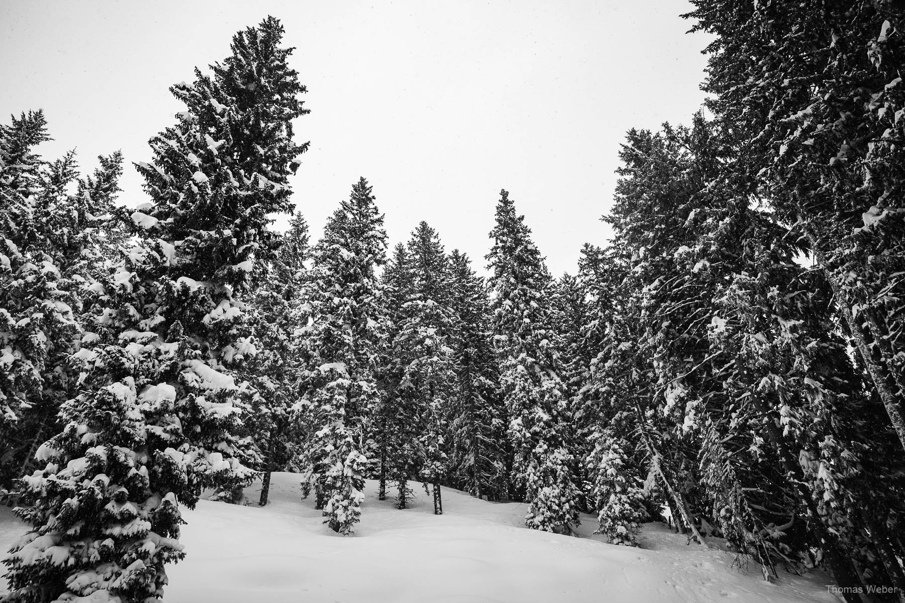 Schneefotos in den Bergen von Österreich