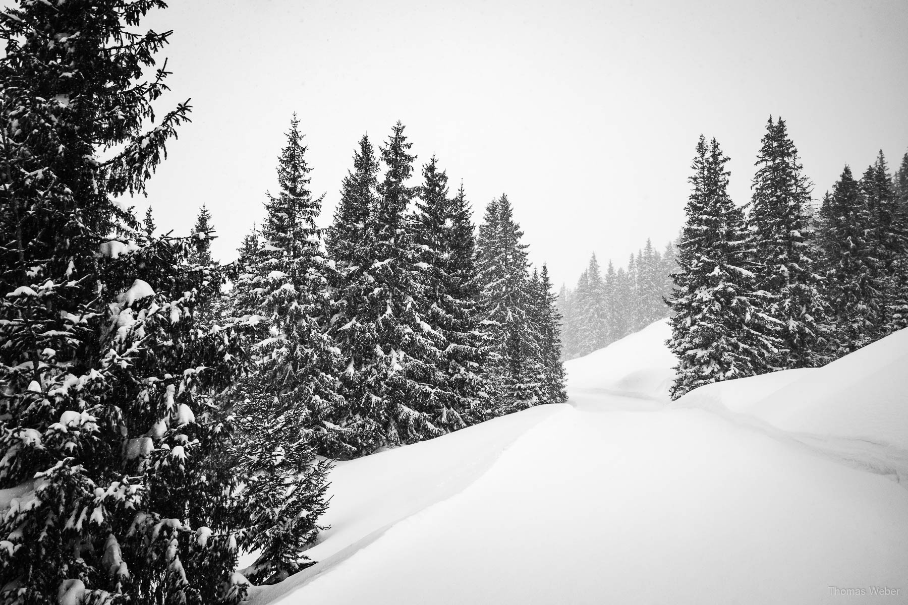 Schneefotos in den Bergen von Österreich