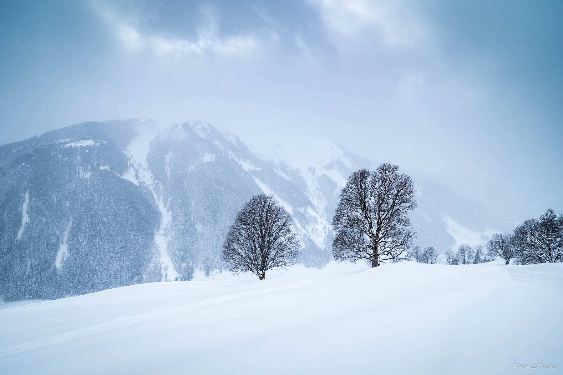 Schneefotos in den Bergen von Österreich