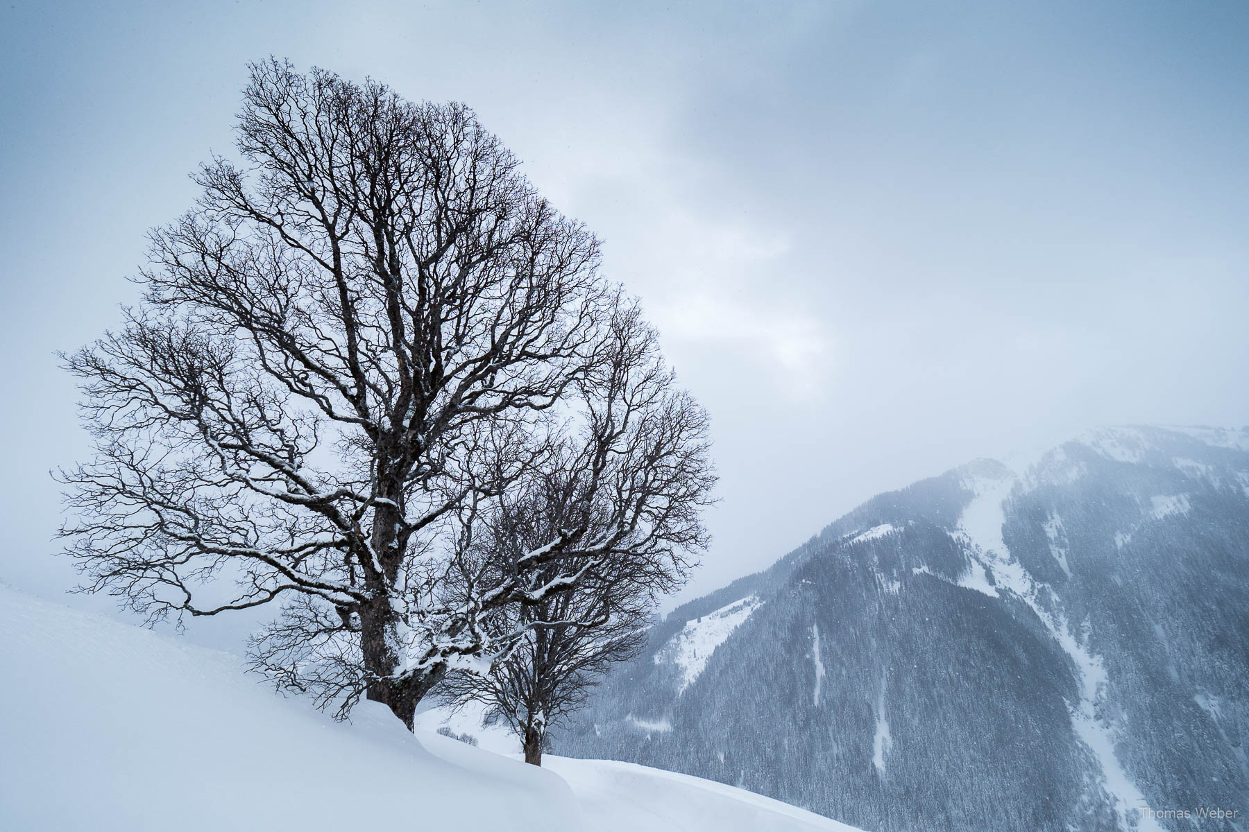 Schneefotos in den Bergen von Österreich