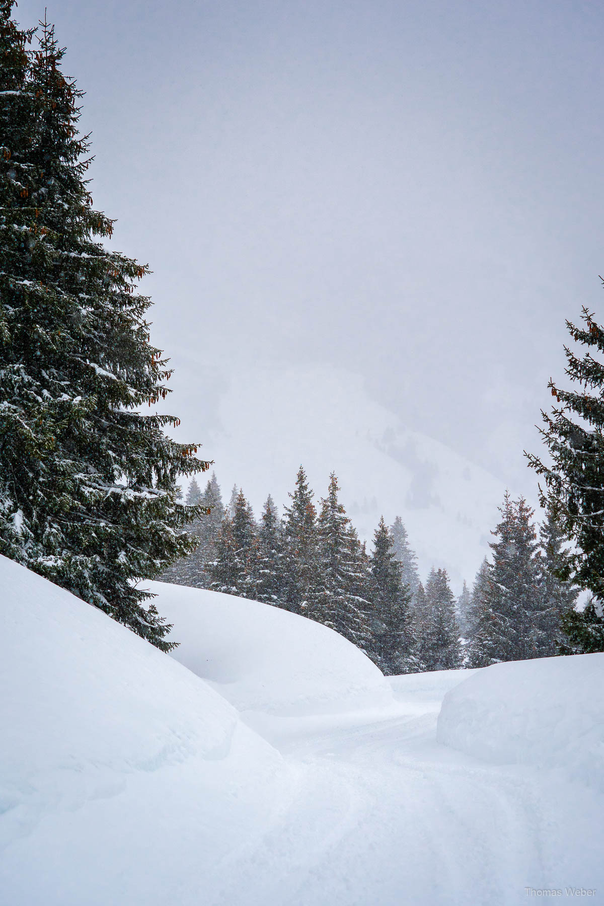 Schneefotos in den Bergen von Österreich