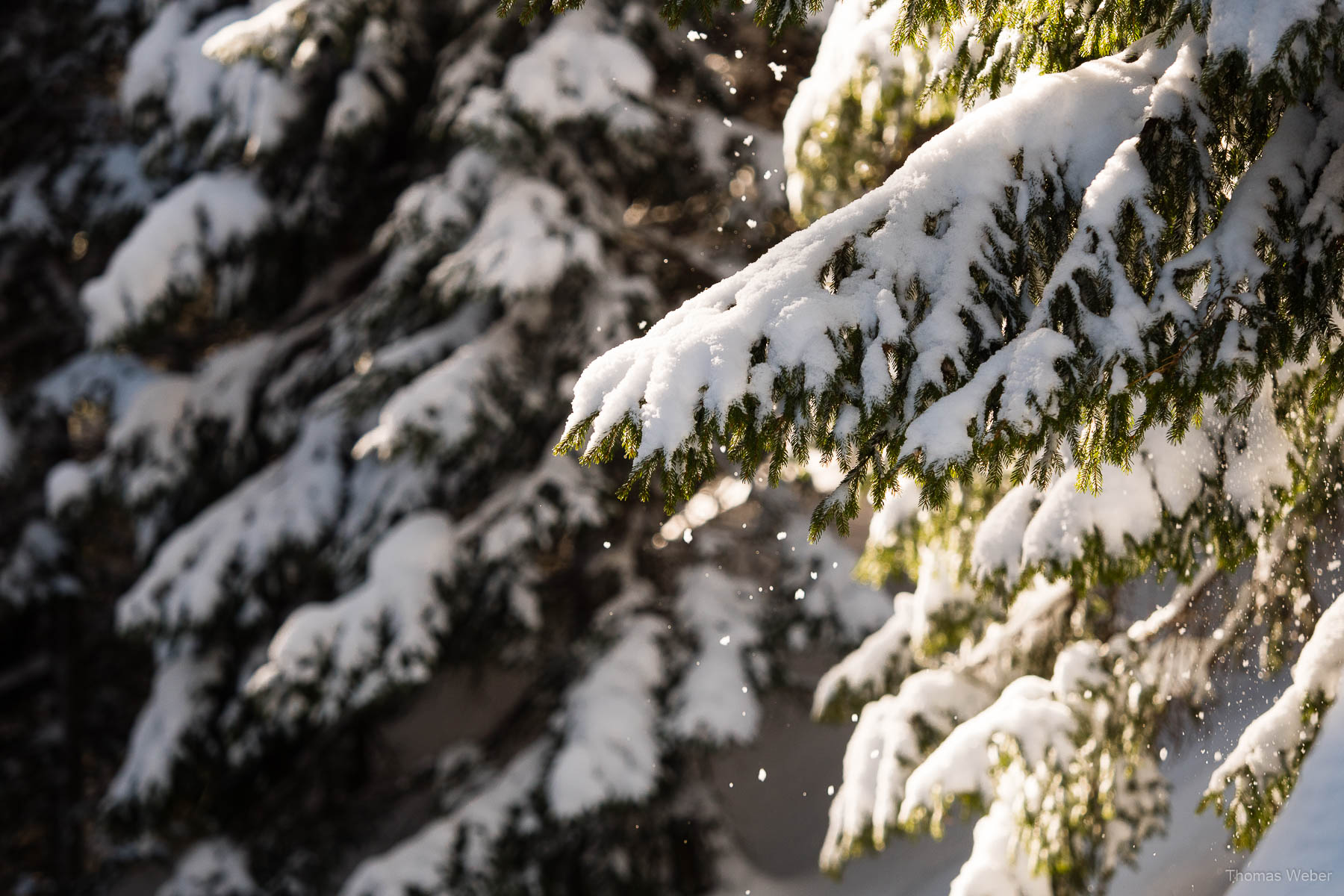 Schneefotos in den Bergen von Österreich