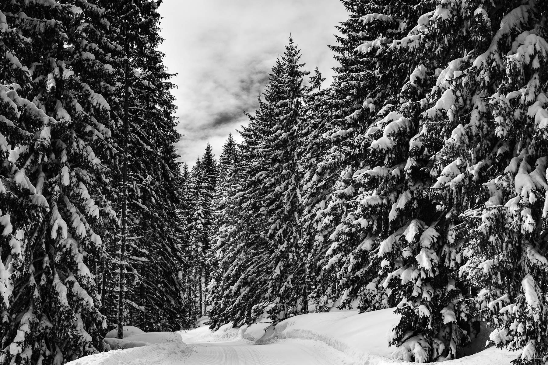 Schneefotos in den Bergen von Österreich