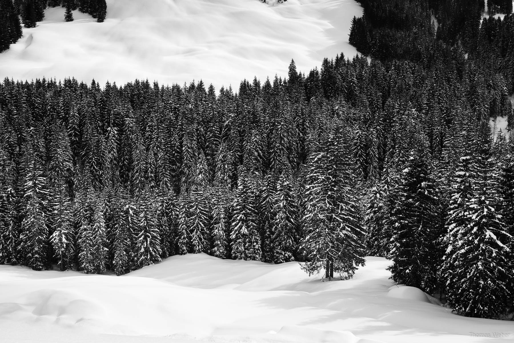 Schneefotos in den Bergen von Österreich