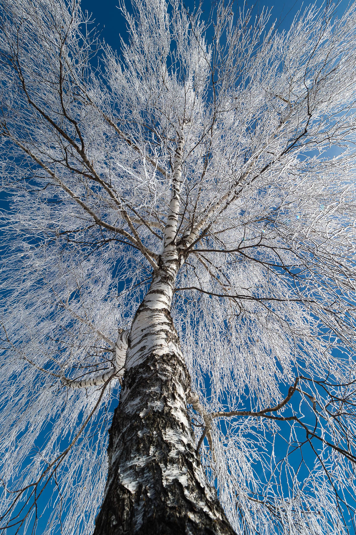 Schneefotos in den Bergen von Österreich