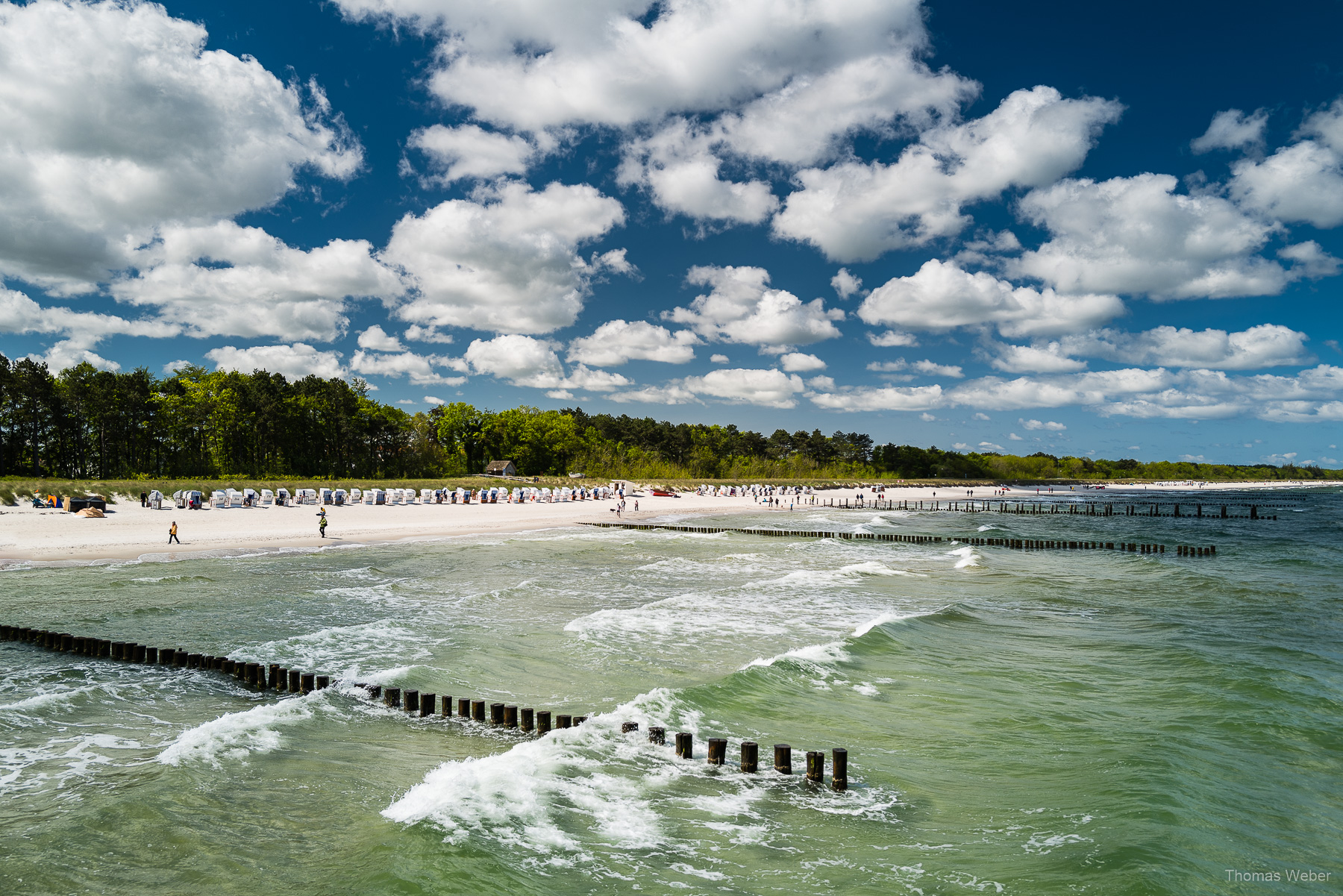 Umweltfotofestival 'horizonte zingst' 2019 an der Ostsee, Fotograf Thomas Weber aus Oldenburg