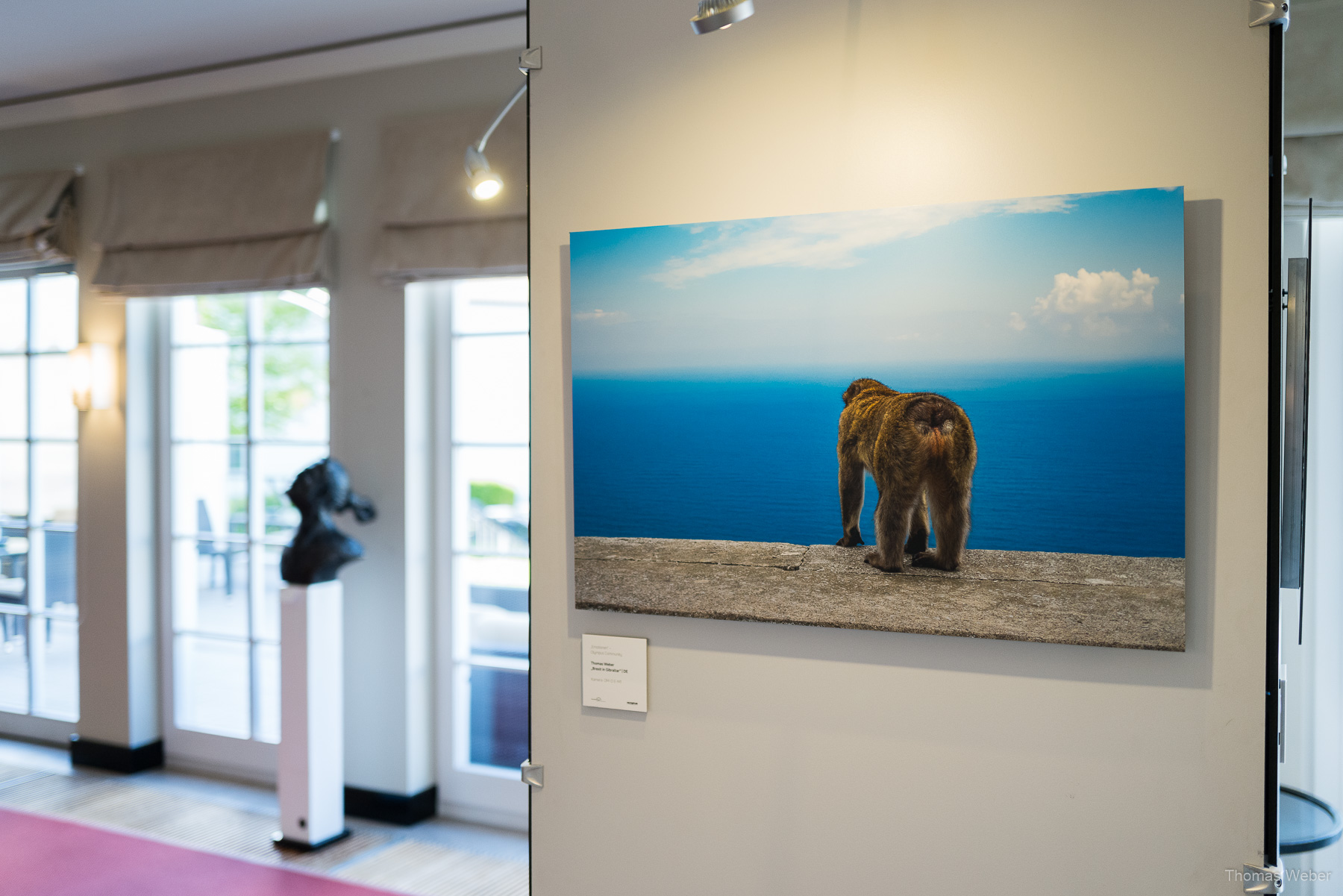 Umweltfotofestival 'horizonte zingst' 2019 an der Ostsee, Fotograf Thomas Weber aus Oldenburg