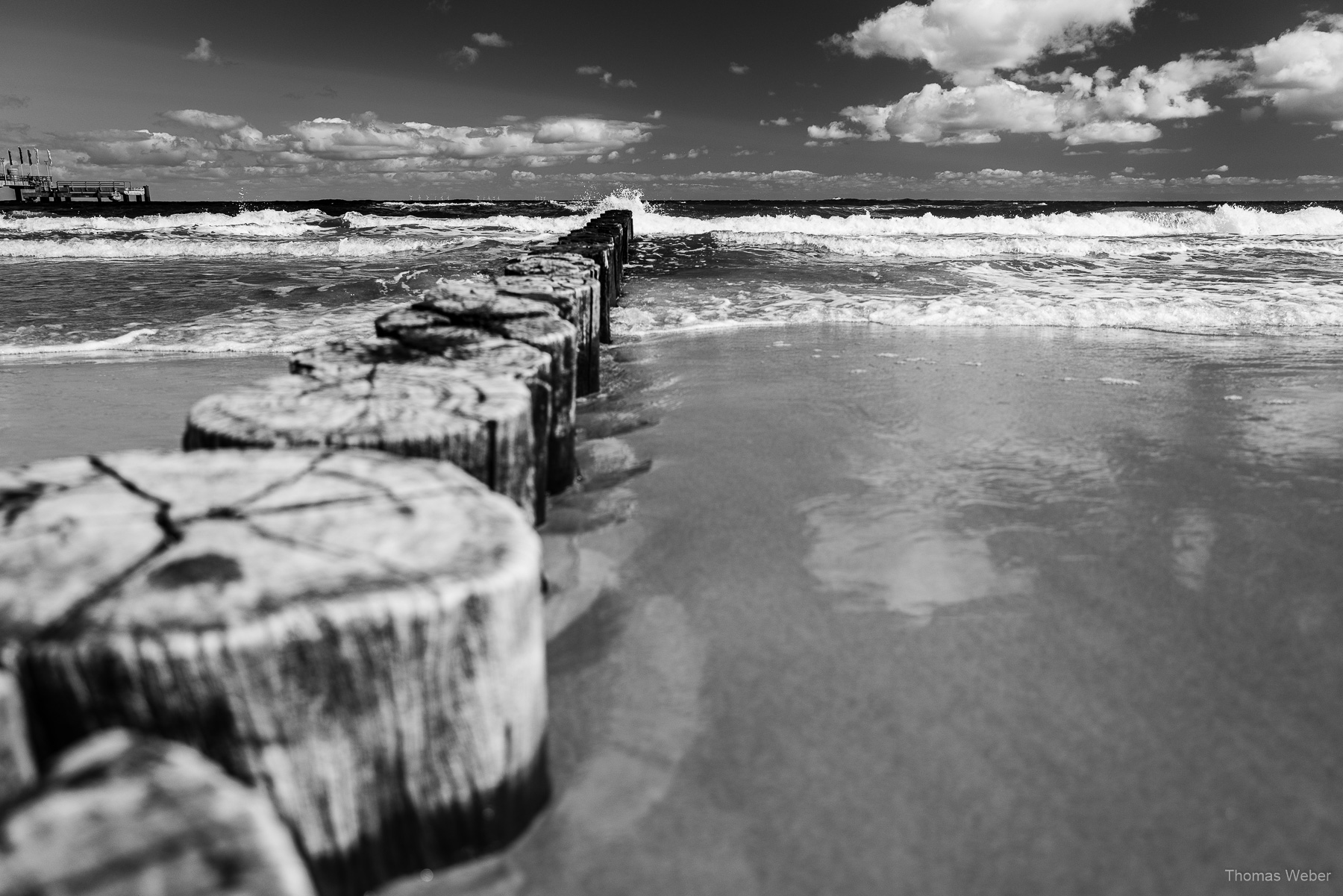 Umweltfotofestival 'horizonte zingst' 2019 an der Ostsee, Fotograf Thomas Weber aus Oldenburg