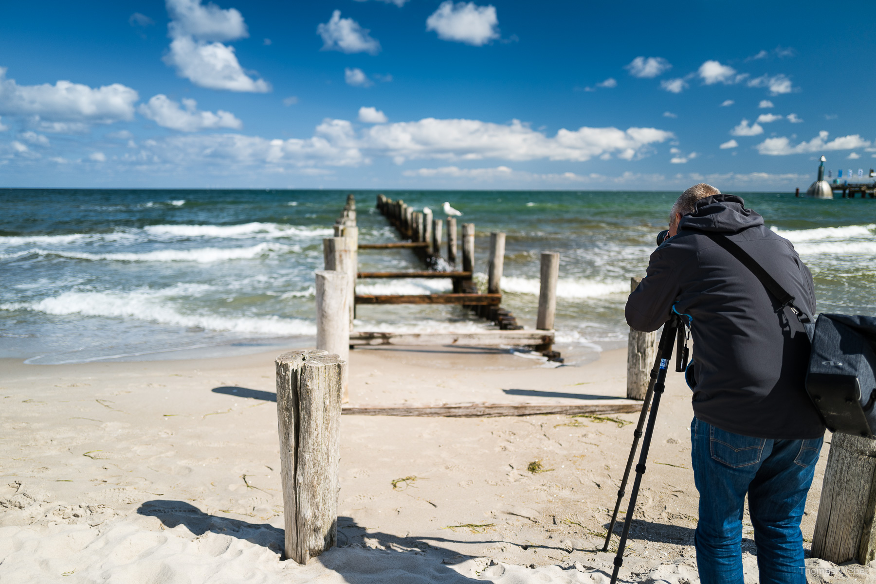 Umweltfotofestival 'horizonte zingst' 2019 an der Ostsee, Fotograf Thomas Weber aus Oldenburg